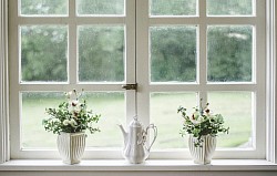 New Windows